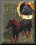 Nightmares