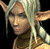 Level 2 : Elfe