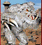 Level 8 : Wog Behemoth royal