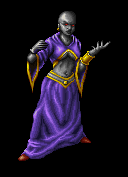 Grand Maitre du temple