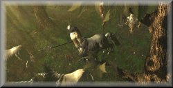 Voir les détails de ce scénario